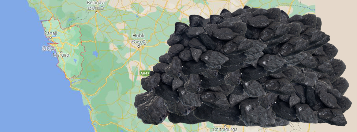 Coal Dealers in Goa