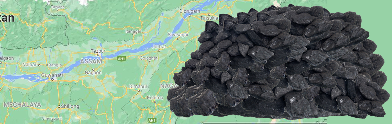 Coal Dealers in Assam